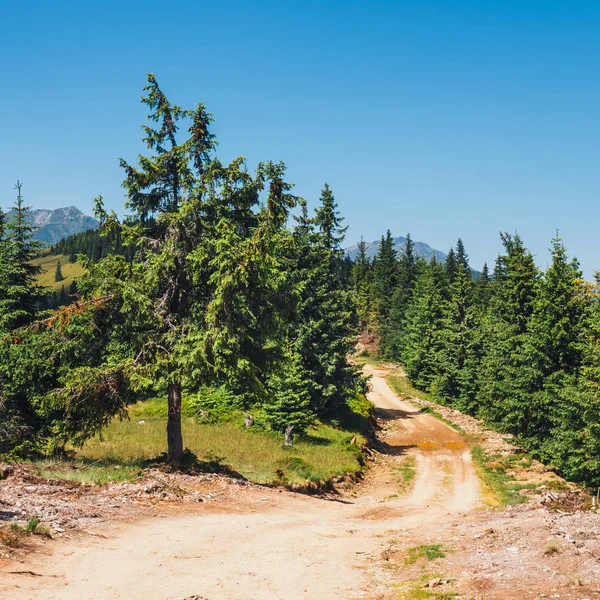 Krásné letní krajiny Rodna Mountains ve východních Karpatech, Rumunsko — Stock fotografie