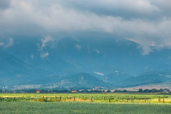Landscape of Apuseni Mountains in Romania, Europe — Stock Photo, Image