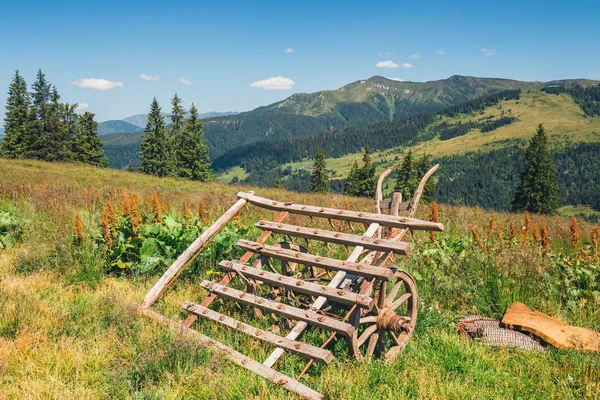 Schöne Sommerlandschaften der Rodna-Berge in den östlichen Karpaten, Rumänien — Stockfoto