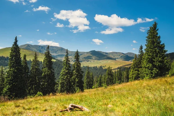 Lato piękne krajobrazy z góry Rodniańskie w Karpatach Wschodnich, Rumunia — Zdjęcie stockowe