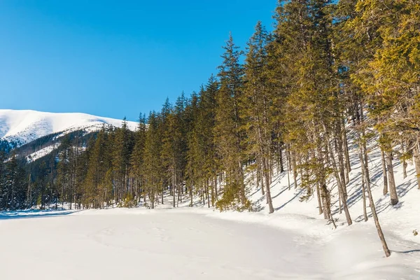 Tatra 山脉的冬天, Koscieliska 山谷 — 图库照片