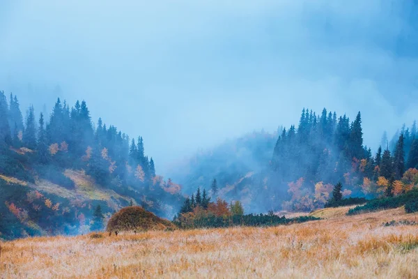 Berglandskap med dimma under toppar och molnen ovanför dem i blå toner — Stockfoto