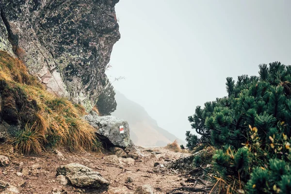 Bergpad verborgen in de mist, Tatra gebergte — Stockfoto