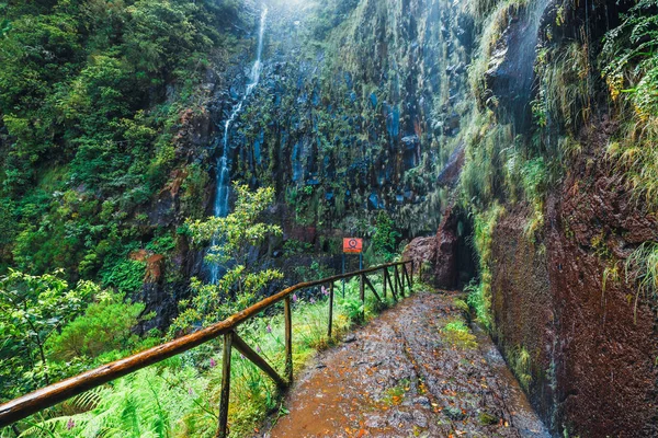Levada das 25 fonte ve Levada do Risco, Madeira Adası, Portekiz dağ yolu