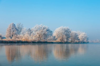 hoarfrost ile kış manzara bir nehir ve ağaçları ile kaplı