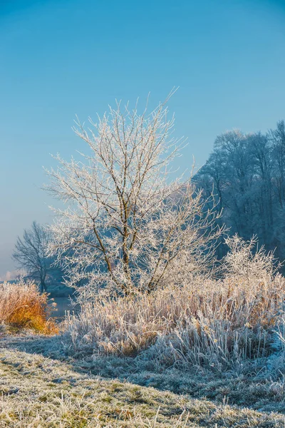 Paisagem de inverno com um rio e árvores cobertas com geada — Fotografia de Stock