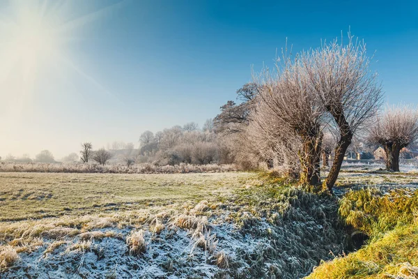 Paisagem de inverno com um rio e árvores cobertas com geada — Fotografia de Stock