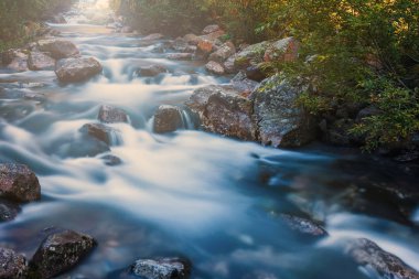 Ağaçların arasından parlayan güneş ışınlarının ile dağlarda güzel şelale