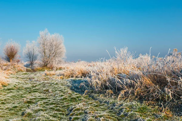 Winterlandschaft mit einem Fluss und mit Raureif bedeckten Bäumen — Stockfoto