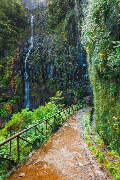 Bergsstig till Levada das 25 fontes och Levada do Risco, Madeira, Portugal — Stockfoto