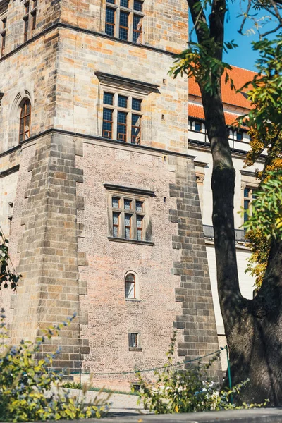 Furstenberg garden in Prague Castle is largest of palace terrace gardens under Prague Castle. — Stock Photo, Image