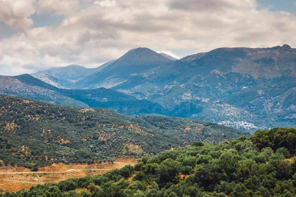 Ελαιώνες της Κρήτης στην Ελλάδα, κρητικό τοπίο — Φωτογραφία Αρχείου