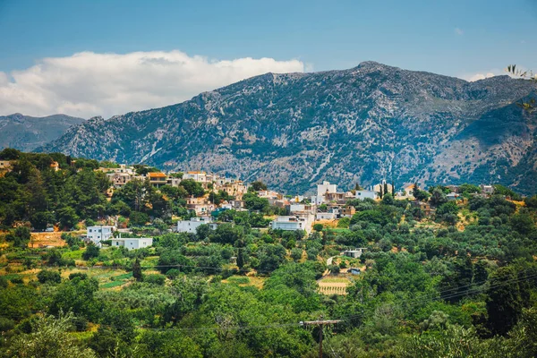 Campos de olivos en la isla de Creta en Grecia, paisaje cretense — Foto de Stock