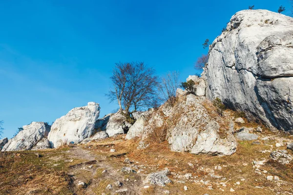 Polen, Podlesice - 04 mars 2017: rock klättrare på vertikala plan vägg. Gora Zborow är en mycket populär destination bland klättrare — Stockfoto