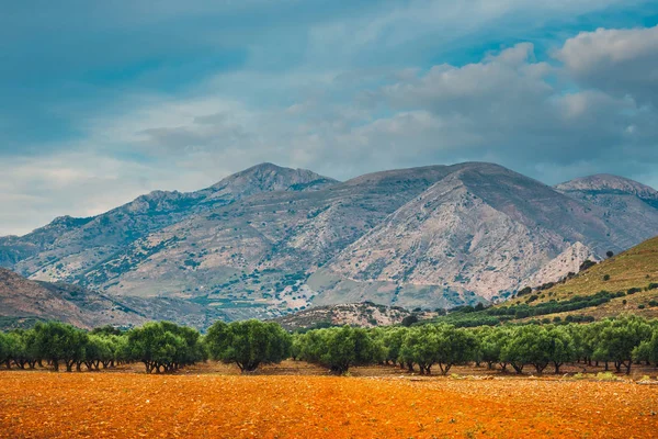 Güzel dağ manzarası Girit Adası, Yunanistan — Stok fotoğraf