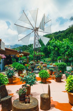 Lassithi Plato üzerinde eski stil yel değirmenleri. Crete, Yunanistan