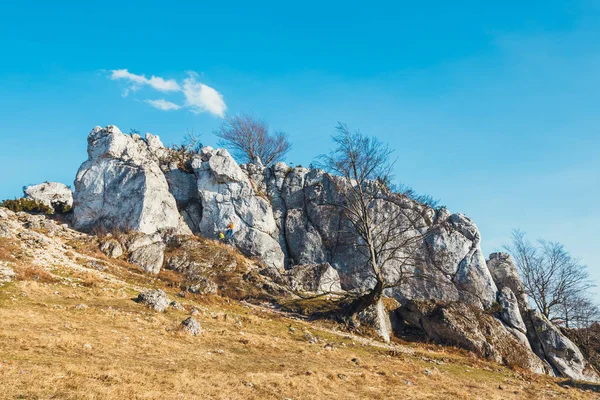 Polen, Podlesice - 04 mars 2017: rock klättrare på vertikala plan vägg. Gora Zborow är en mycket populär destination bland klättrare — Stockfoto