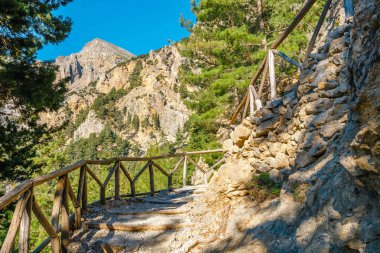 Samiriye Gorge Merkezi Girit, Yunanistan