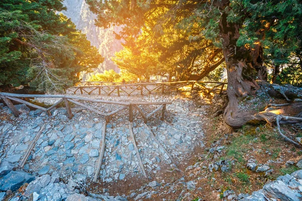 Samaria Gorge in central Crete, Greece — Stock Photo, Image