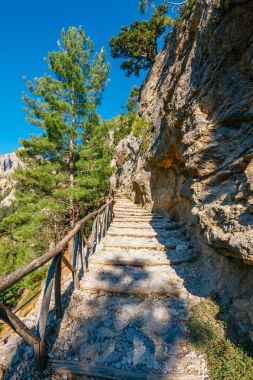 Samiriye Gorge Merkezi Girit, Yunanistan