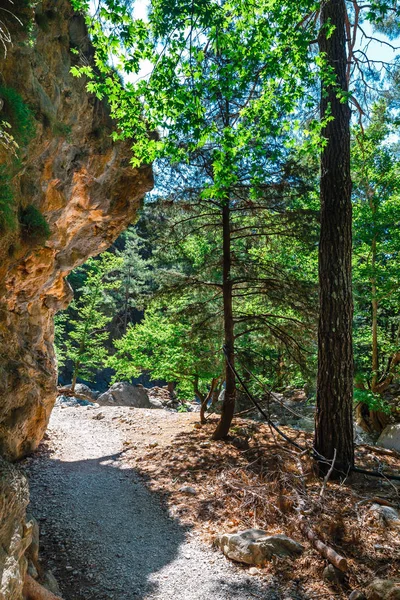 Samiriye Gorge Merkezi Girit, Yunanistan
