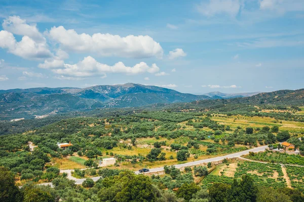 Olive fields on Crete Island in Greece, Cretan landscape — Stock Photo, Image