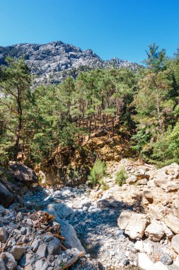 Samiriye Gorge Merkezi Girit, Yunanistan