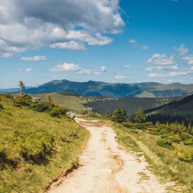 Güzel yaz manzaraları Rodna Dağları'nın Doğu Karpatlar, Romanya içinde