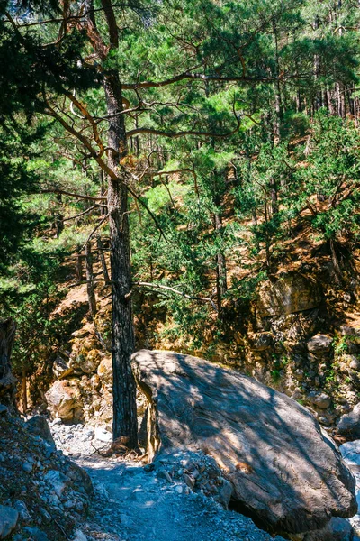 Samaria Gorge in central Crete, Greece — Stock Photo, Image