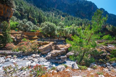 Samiriye Gorge Merkezi Girit ile yürüyüş yolu