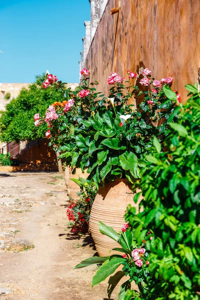 Tuinen in de basiliek van Arkadi klooster op Kreta, Griekenland — Stockfoto