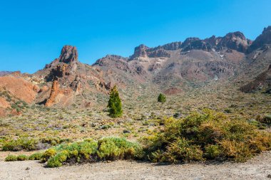 Doğal görünümü El Teide yanardağı, Tenerife, Kanarya Adaları