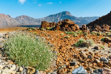 Doğal görünümü El Teide yanardağı, Tenerife, Kanarya Adaları
