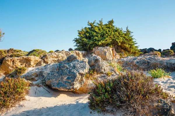 Praia de Elafonissi com areia rosa na ilha de Creta, Grécia — Fotografia de Stock