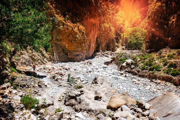 Sentiero stretto del canyon situato nella gola di Samaria a Creta centrale — Foto Stock