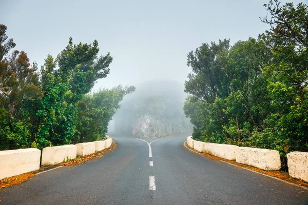 Carretera estrecha y sinuosa en las montañas de Anaga, Tenerife, España — Foto de Stock