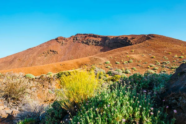 Пейзаж вулкана Эль Тейде в Национальном парке Лас-Канадас-дель-Тейде — стоковое фото