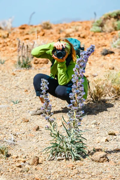 Mujer joven admira hermosas vistas a la montaña y toma fotos — Foto de Stock
