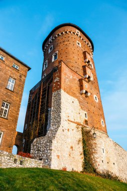 Krakow, Polonya en ünlü dönüm noktası Wawel Kalesi mimari detaylar