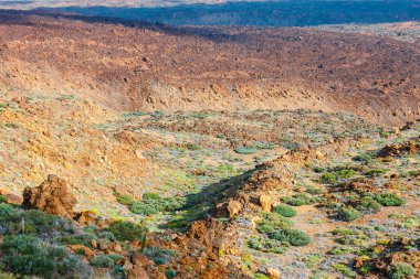 Volkan El Teide Milli Parkı Las Canadas del Teide içinde peyzaj