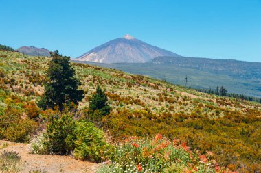 El Teide yanardağı Tenerife, Kanarya Adaları, İspanya