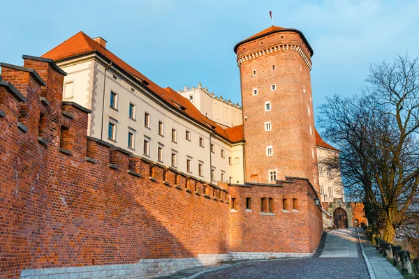 Vista do Castelo Wawel em Cracóvia, um dos marcos mais famosos da Polônia — Fotografia de Stock