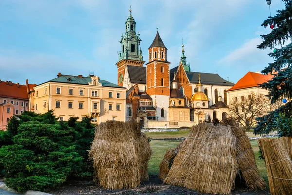 Utsikt över slottet Wawel i Kraków, en av de mest berömda landmärken i Polen — Stockfoto