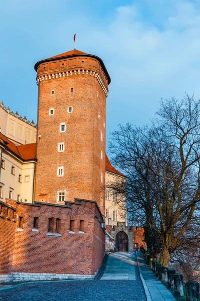 Uitzicht op het Wawel kasteel in Krakau, een van de meest beroemde bezienswaardigheid in Polen — Stockfoto