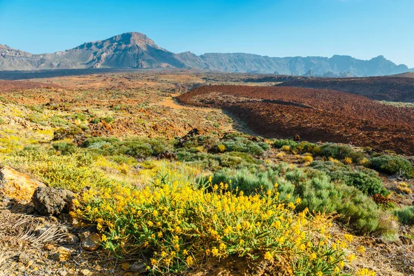 Landscape of Volcano El Teide in The National Park of Las Canadas del Teide — Stock Photo, Image