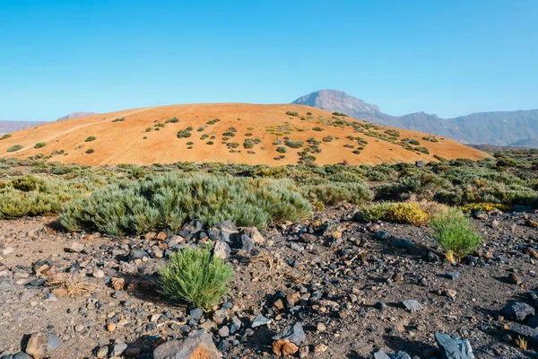 Пейзаж вулкана Эль Тейде в Национальном парке Лас-Канадас-дель-Тейде — стоковое фото