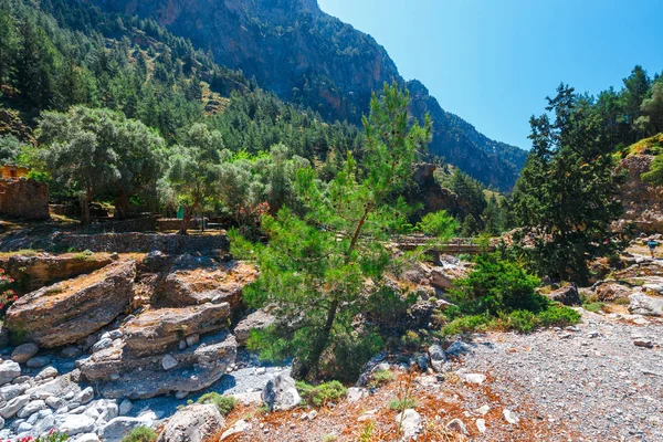 Стежка в Самарії ущелині Центрального Крит, Греція — стокове фото