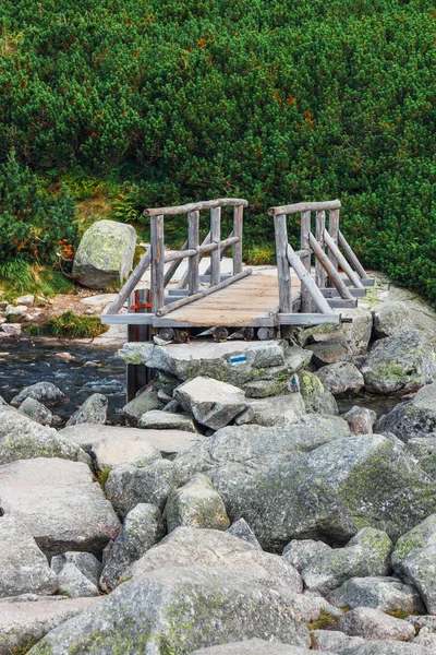 Liten bäck och vattenfall i bergen med träbron — Stockfoto