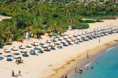 Vai ünlü kumsalda güzel palm orman east Crete, Yunanistan