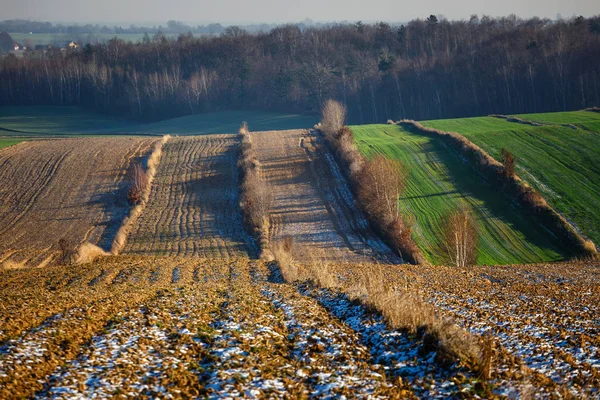 Obdělávaná zemědělská pole jako abstraktní vzor při západu slunce. Barevná krajina patchwork — Stock fotografie